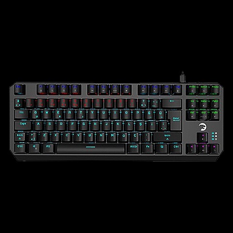 Gamepower Overlord TKL Red Switch Kablolu Mekanik Oyuncu Klavyesi